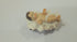 8 inch Christmas Nativity Set