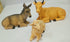 21 inch Christmas Nativity Set